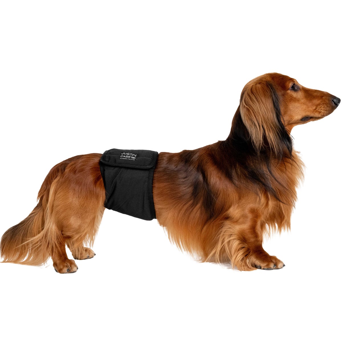 FINNERO JustinCase male dog wrap black | FINNERO Oy Ltd
