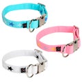 BAMBINO collars available in three colors and two widths