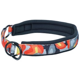 CAMOCOLOR collar orange