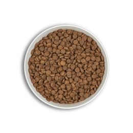 era grain free salmon and turkey