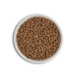 Cat Food ERA Grain-free of Salmon and Duck