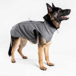 UPGRADED FINNERO SPORT Softshell Jacket for dogs