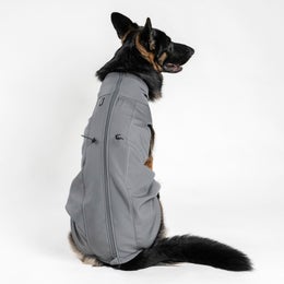 UPGRADED  FINNERO SPORT Softshell Jacket for dogs