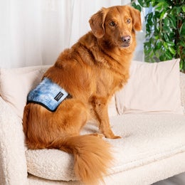 FINNERO JustinCase Denim &ndash; Male dog wrap, size M