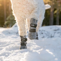 FINNERO HALLA Reflective fleece booties for dogs &ndash; gray