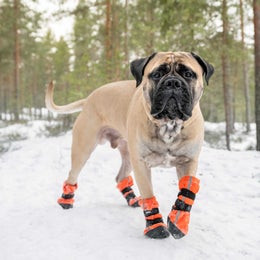 FINNERO HALLA Reflective fleece booties for dogs &ndash; orange, size XL