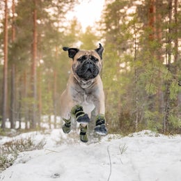 FINNERO HALLA Reflective fleece booties for dogs &ndash; green, size XL