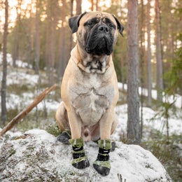 FINNERO HALLA Reflective fleece booties for dogs &ndash; green, size XL